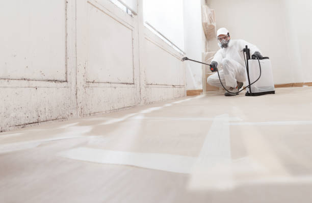 24/7 Emergency Mold Remediation experts in Hendersonville, NC