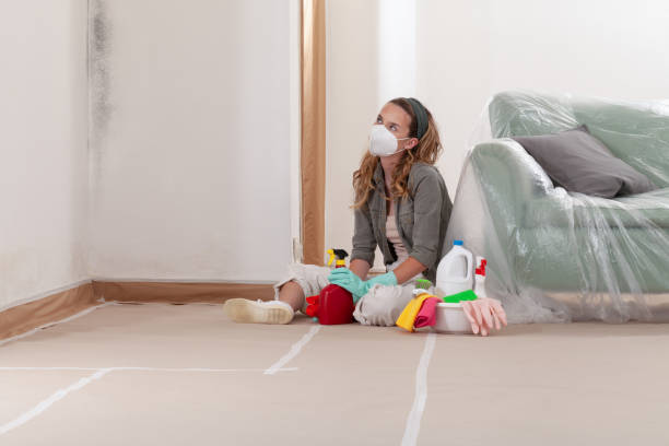Reliable Mold Remediation contractor in Hendersonville, NC by Cheap Mold Removal